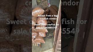 Buysweet oron crayfish here call 07060885549 #shorts #viralvideos #business #trending #viral #shot