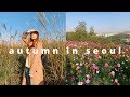 a perfect autumn day in my life in seoul, korea VLOG