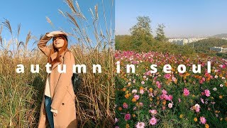 a perfect autumn day in my life in seoul, korea VLOG