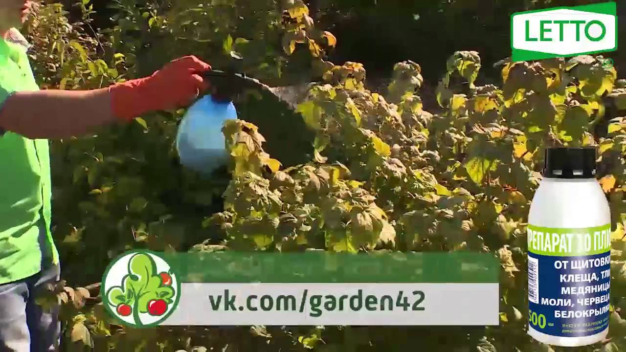 Купить Препарат 30 Плюс Для Опрыскивания Деревьев