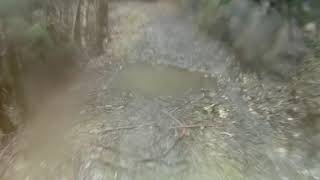 Descenso Picu Moru