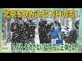 北京を飲み込む「5月の雪」　ワイパーも効かない猛吹雪の正体とは？