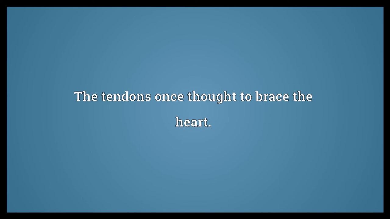 Heartstrings Meaning YouTube