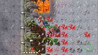 Tibia Mortal Combat EK 117 & ED 109
