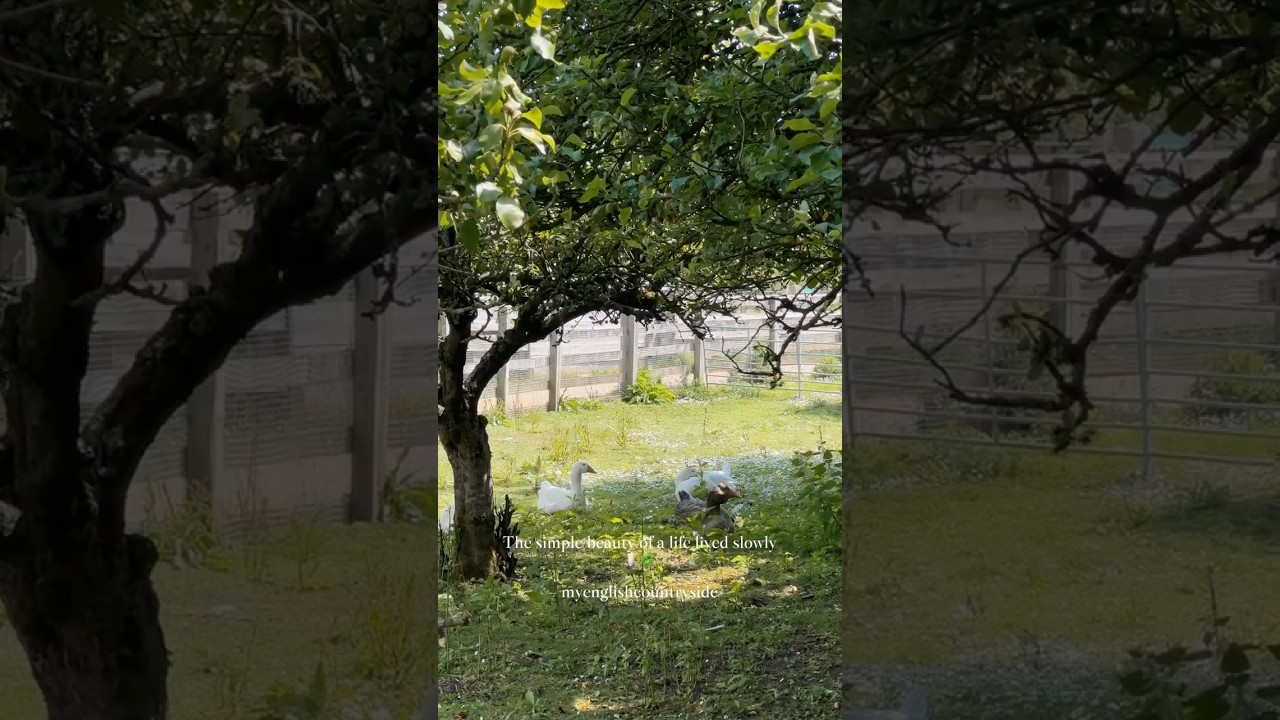 Slow Living in the English Countryside | Peaceful Moments & Cottagecore Aesthetic 🌿 