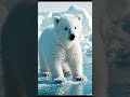 #shorts #youtubeshorts #animals #animallife #cute
