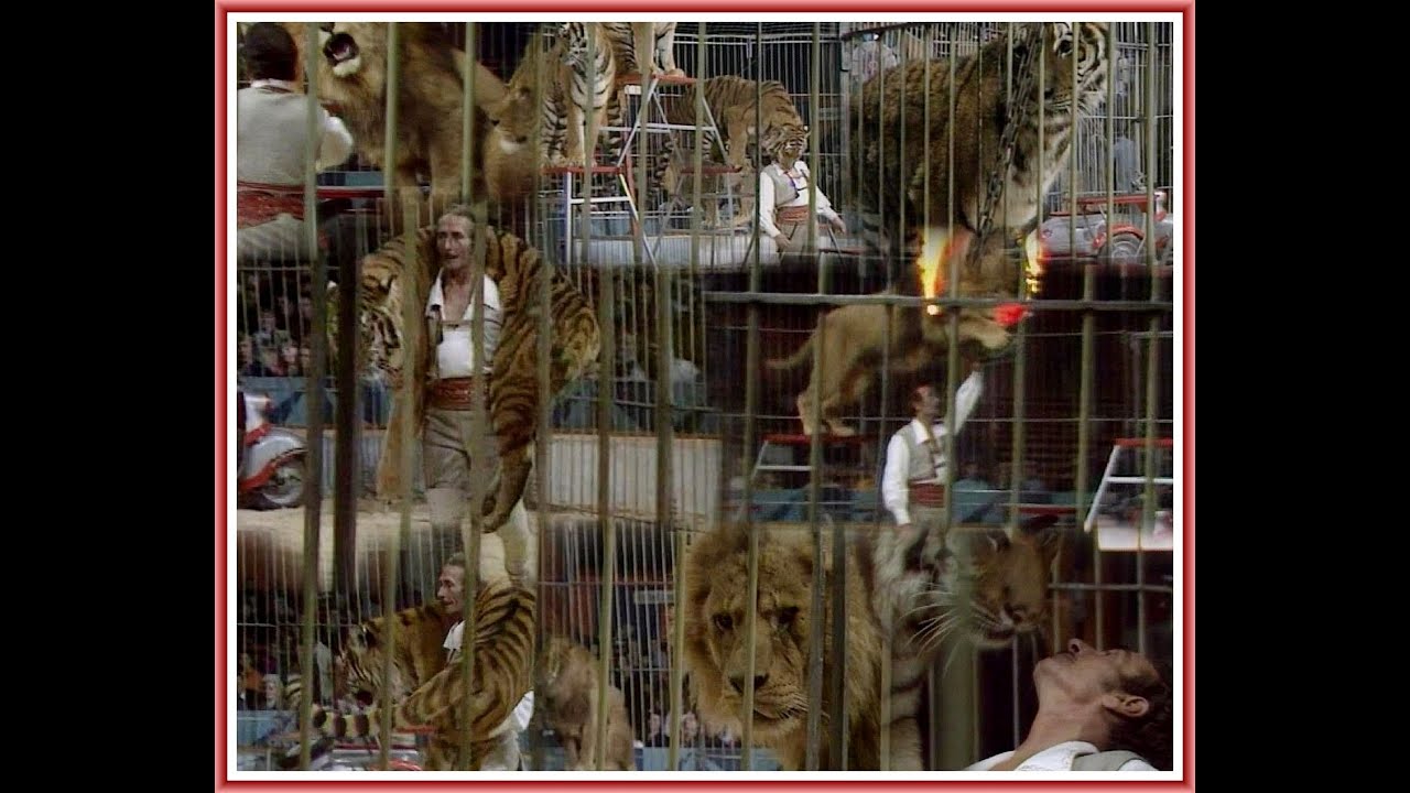 1.) DDR -  Dompteure des 20.Jahrhundert ! / Francesco Capri - Eine Zirkus- Legende...