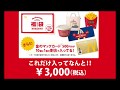 ポテトタイマーがヤバイ(*´ω`*)マックの福袋2020年開封レビュー@VRS天馬