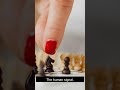 Why Chess Changed Without Changing