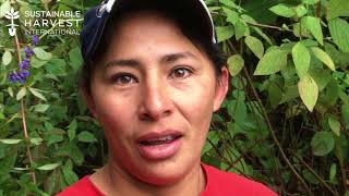 Celebrating 4 Million Trees