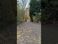 #viralvideo #viralshort #viralshorts #trending #funny #freefire #nature #naturelovers #natural #fyp