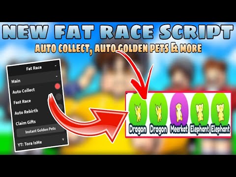 New Fat Race Script Auto Collect Auto Golden Pets FE Roblox Hqdefault 