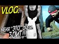 VLOG: Меня "ЭТО" очень 3ЛИT !!!