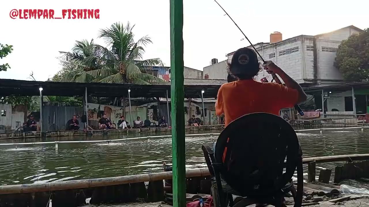 Mau cuci tangan ikan babonnya makan. 