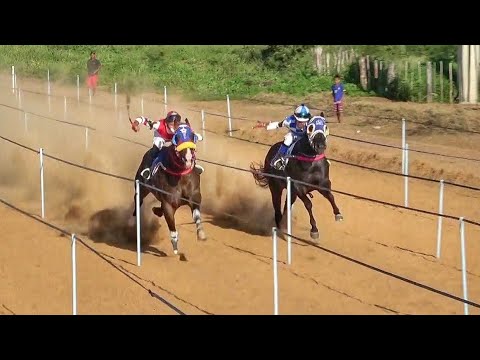 Classificatórias do III GP Jockey Clube Maria Laura 2023 - corrida de cavalos