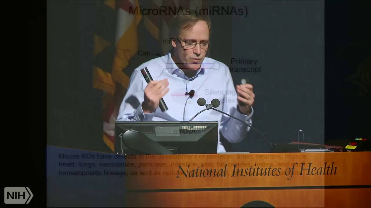 MicroRNAs and their regulatory effects