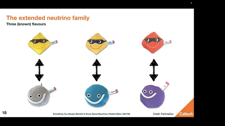 ZTF Summer School 2022 - Everything you wanted to know about neutrinos