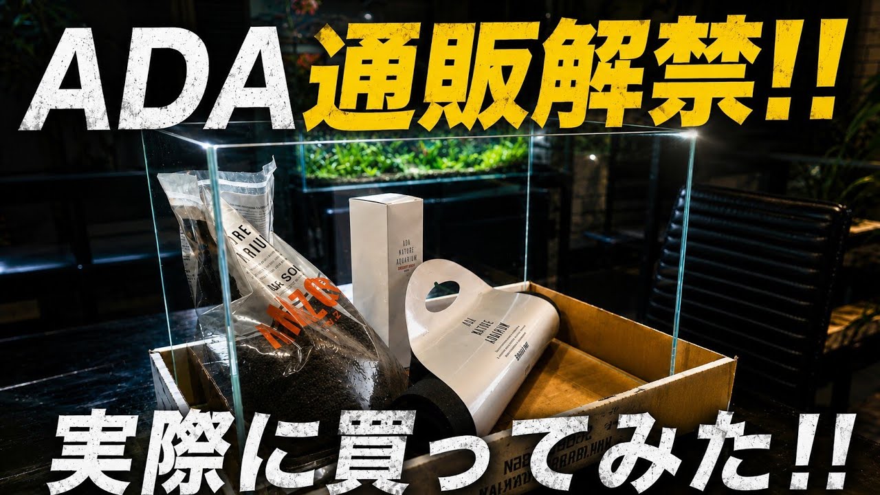 【引き取り限定】ADA アクアリウム用品まとめ売り ADA Online Sales Are Finally Here!! I Actually Bought Some on