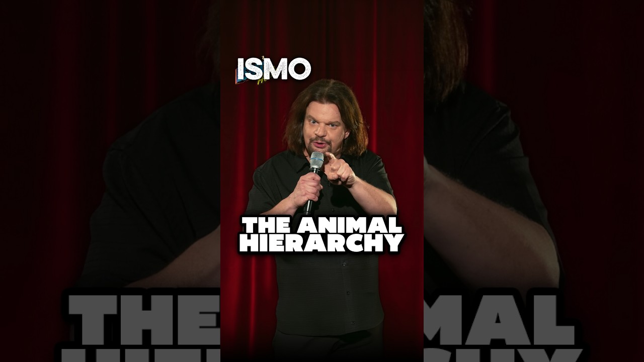 ISMO | The Animal Hierarchy