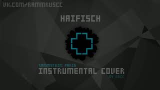 Rammstein - Haifisch (instrumental cover) [Rammstein: Paris]