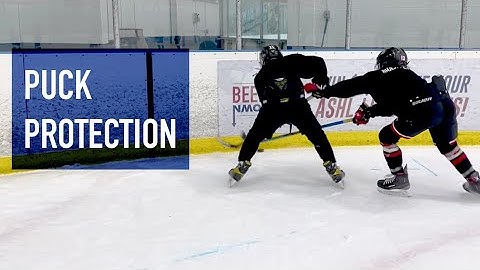 Puck Protection