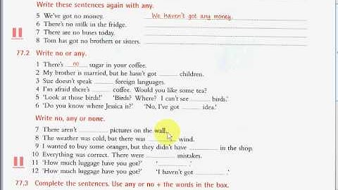 EssentialGrammarInUse 077 303 165