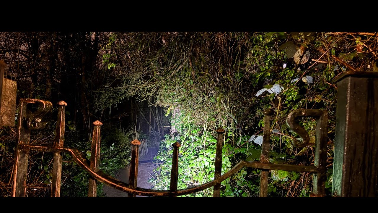 Haunted Woodland Walk 