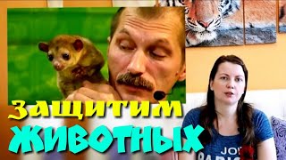 ЗАЩИТИМ ЖИВОТНЫХ И ИХ ВЛАДЕЛЬЦЕВ / Protect animals ЗАЩИТИМ ЖИВОТНЫХ И ИХ ВЛАДЕЛЬЦЕВ / Protect animals