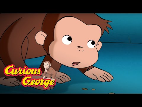 Live Like a Pigeon 🐵 Curious George 🐵Kids Cartoon 🐵 Kids Movies 🐵Videos for Kids
