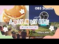 Day 8| You won’t believe, OBS FINALLY WORKS!