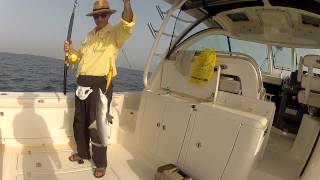 Fishing June 24 2014 Dubai Pursuit OS 385 Offshore