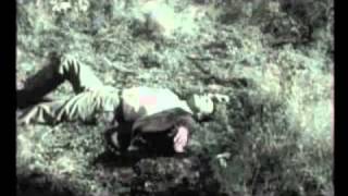 Al Lover - Crazer Blade