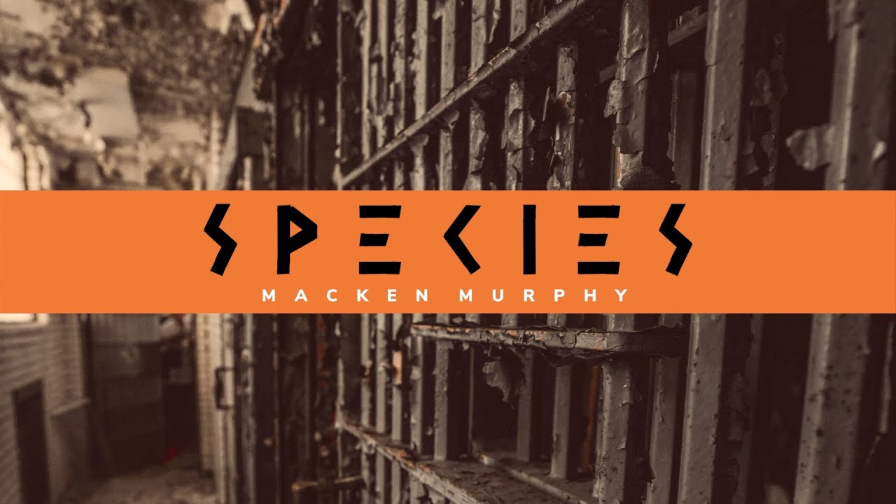 Misbehavioral Biology | Dr. David Buss | Species Podcast