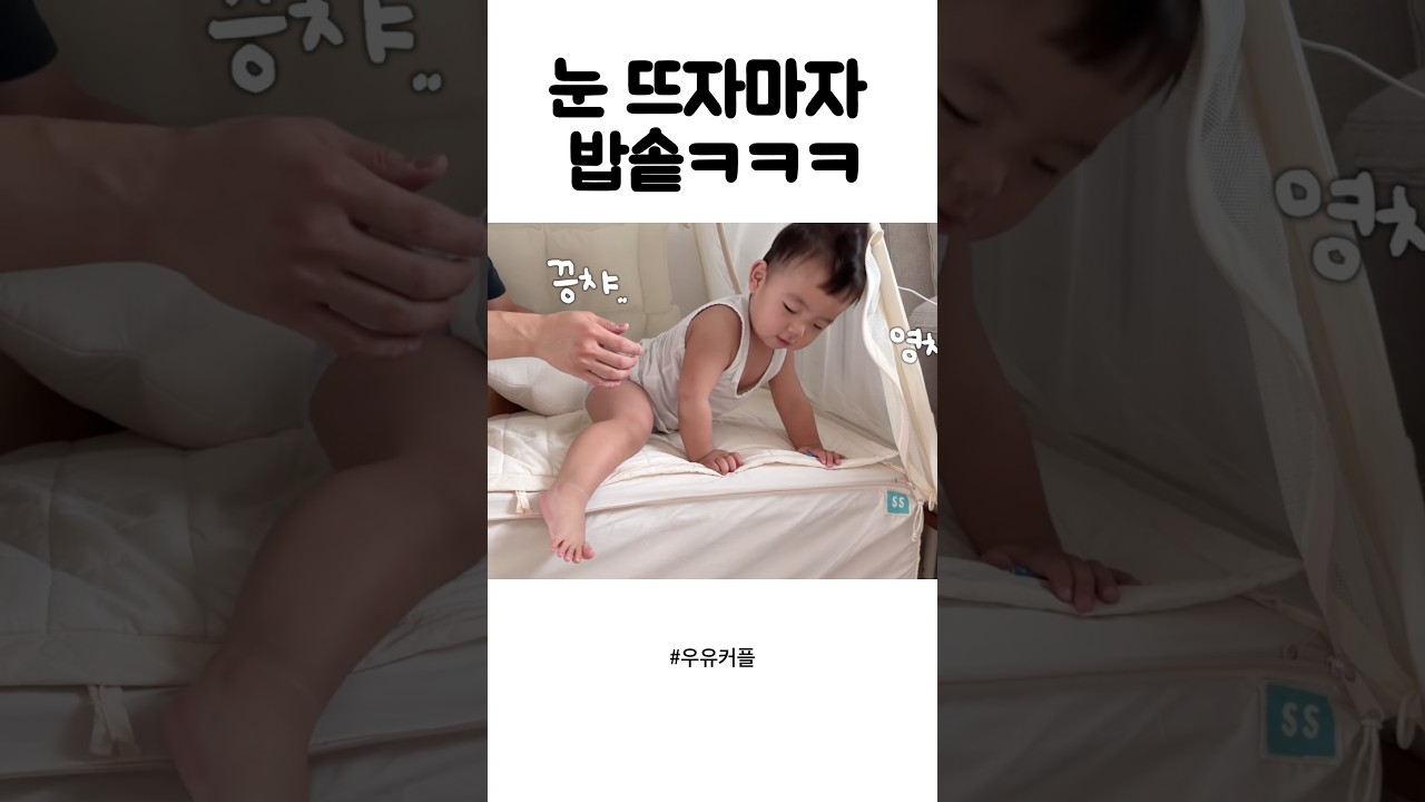 눈 뜨자마자 밥솥 찾는14개월