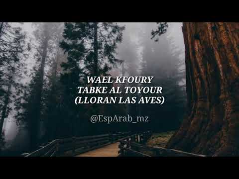 Wael Kfoury Tabke Al Toyour Lloran Las Aves Traducida Al Español 