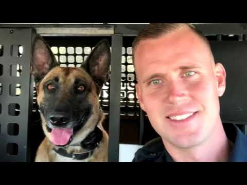 Video: Pensionerad militärhund får en hjältes farväl