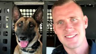 Marine reunited with retired military dog