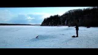 alaskaLand   Trailer HD