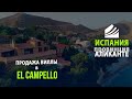 Вилла в Средиземноморском стиле у моря в Campello, провинция Аликанте, Испания. Недвижимость Испании