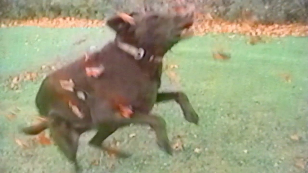 This will make a good memory