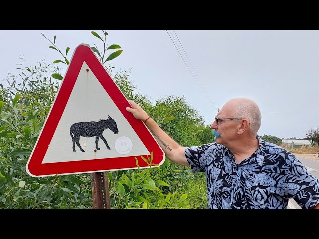 Cyprus - The Gradually Improving Tour