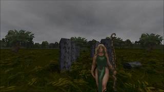 Beautiful Daggerfall Butterflies and Witches