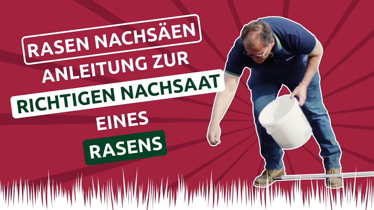 muss man bambus düngen Purgrün Bambusdünger 1 Liter