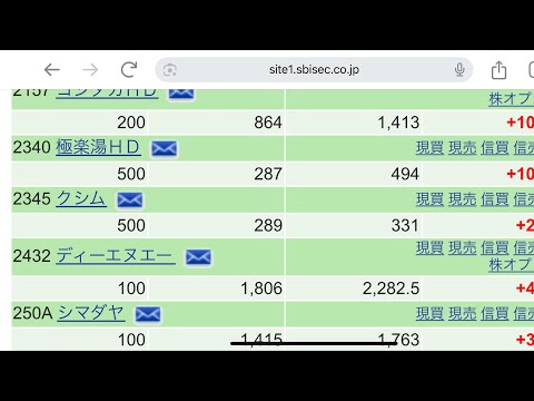 持ち株状況！クシム【2345】を買った！2025.08.23