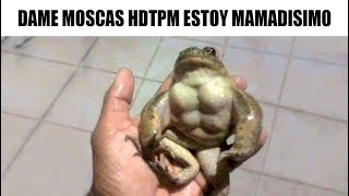 MEMES RANDOM #156
