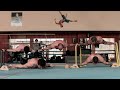 Calisthenics Athletes in the Gymnastic Gym (2021)