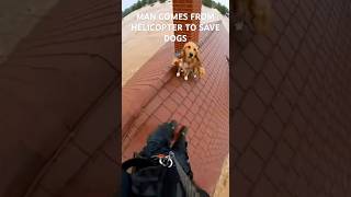 Man Saves Dogs During A Flood Through A Helicopter