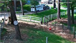 Goldys Yard Trailer Back From Outing Drives To Barn 113Pm 652024