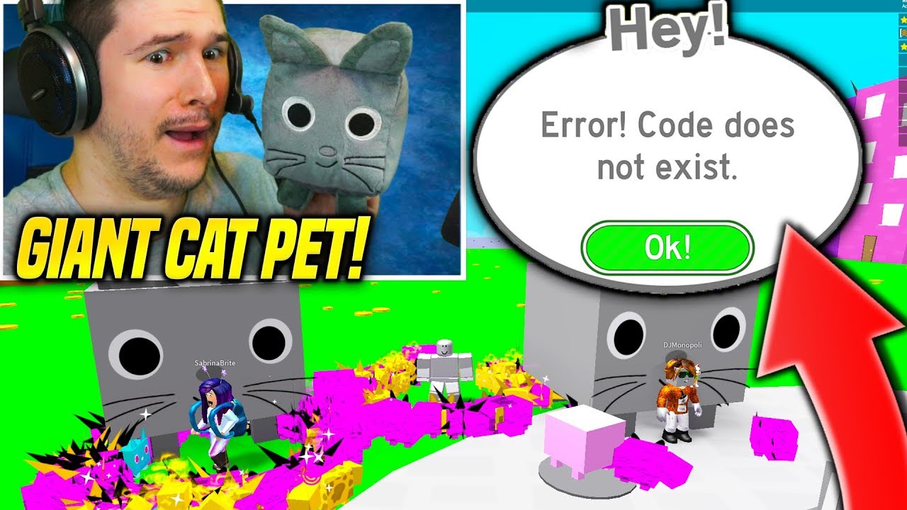 Emotional I Got The Giant Cat Pet In Pet Simulator But This Happened Roblox Youtube - roblox pet simulator how to get more pets out