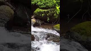 Natural white noise for sleep &amp; focus, Shorts video